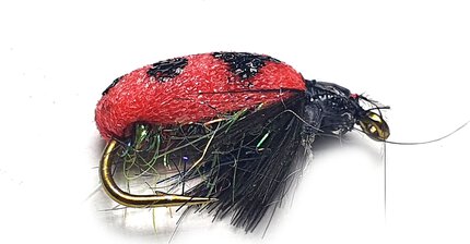 Stillwater Lady Bird Bug Size 10 - 1 Dozen